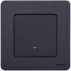 Legrand/Daccord INSPIRIA Антрацит Переключатель одноклавишный с подсветкой/индикацией 10 AX - 250 В