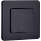 Legrand/Daccord INSPIRIA Антрацит Выключатель одноклавишный с подсветкой/индикацией 10 AX - 250 В