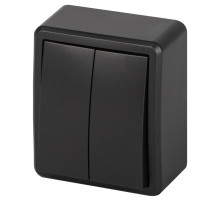 Выключатель ЭРА Эксперт 11-1204-05 двойной IP20 10АХ-250В ОУ антрацит