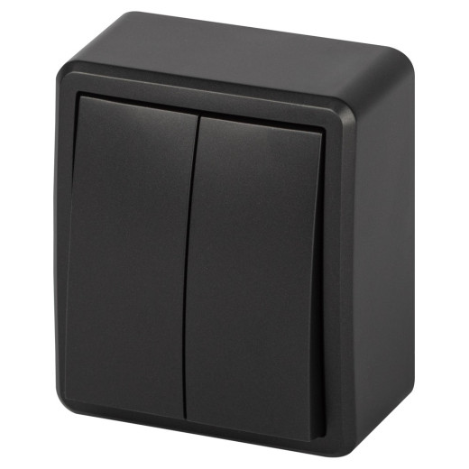 Выключатель ЭРА Эксперт 11-1204-05 двойной IP20 10АХ-250В ОУ антрацит