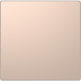 Schneider Electric Merten D-Life Шампань Клавиша 1-ая