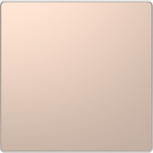 Schneider Electric Merten D-Life Шампань Клавиша 1-ая