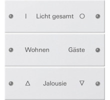 Gira Instabus System 55 Гравировка Набор клавиш 3-местн.