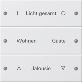 Gira Instabus System 55 Гравировка Набор клавиш 3-местн.