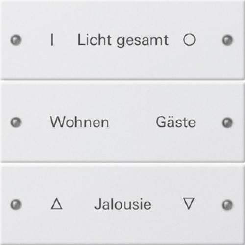 Gira Instabus System 55 Гравировка Набор клавиш 3-местн.