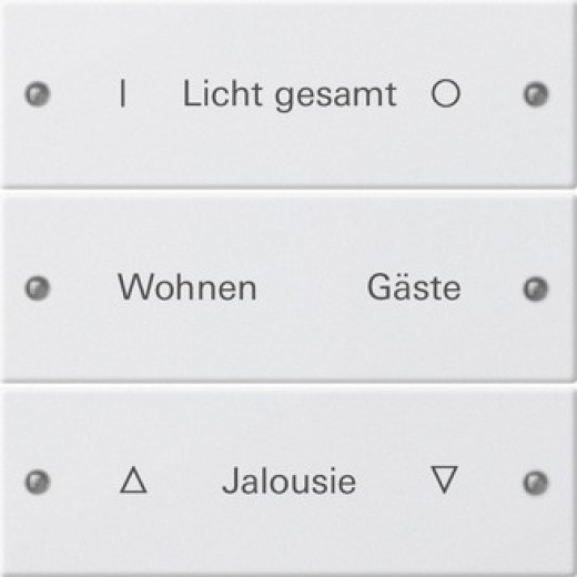 Gira Instabus System 55 Гравировка Набор клавиш 3-местн.