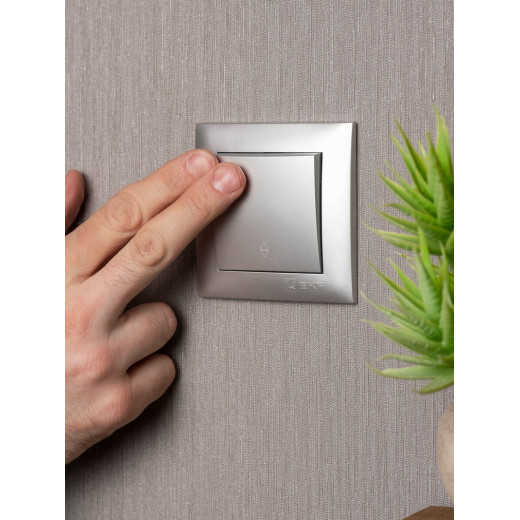 EKF PROxima Валенсия лицевая панель выключателя проходного 1-кл. 10А сталь