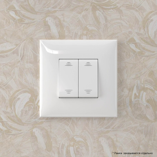 DKC Avanti Инвертор двухклавишный в стену, 