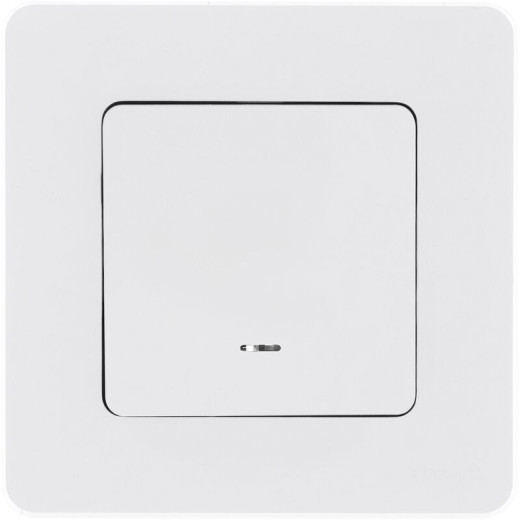 Legrand/Daccord INSPIRIA Белый Переключатель одноклавишный с подсветкой/индикацией 10 AX - 250 В