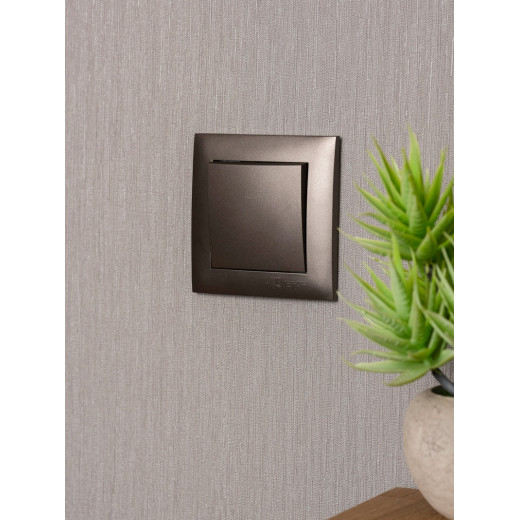 EKF PROxima Валенсия лицевая панель выключателя 1-кл. 10А графит