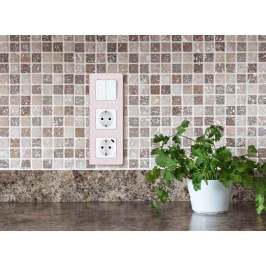 Legrand/Daccord INSPIRIA Белый Выключатель двухклавишный 10 AX - 250 В