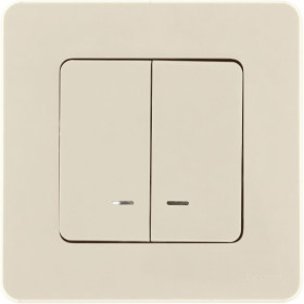 Legrand/Daccord INSPIRIA Слоновая кость Выключатель двухклавишный с подсветкой/индикацией 10 AX - 250 В