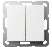 Jasmart G Белый глянцевый Выключатель 2-кл с подсветкой 10A 250V~