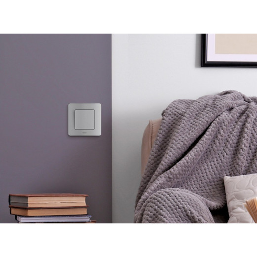 Legrand/Daccord INSPIRIA Алюминий Выключатель одноклавишный 10 AX - 250 В