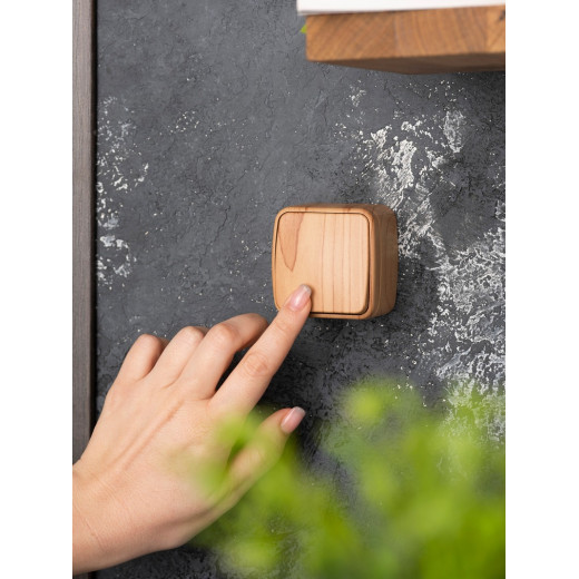 EKF Basic Минск Светлое дерево Выключатель 1-кл, 10А, ОП