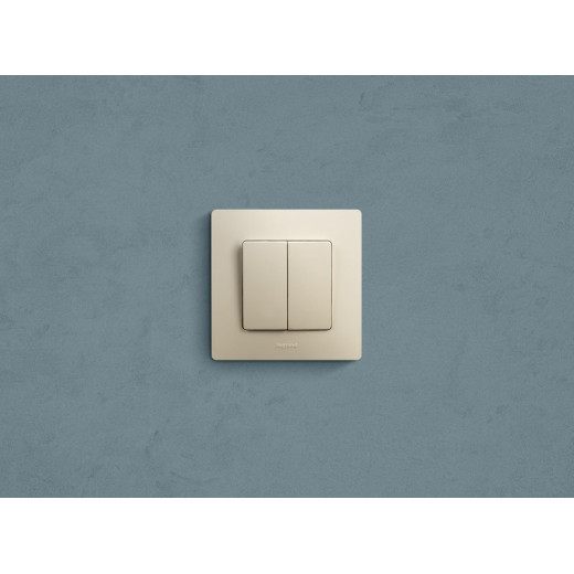 Legrand Etika Слоновая кость Выключатель 2-х клавишный, 10А, Винтовые клеммы