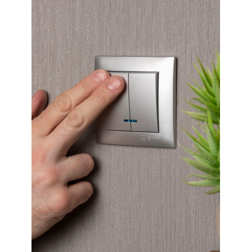 EKF PROxima Валенсия лицевая панель выключателя 2-кл. с индикатором 10А сталь