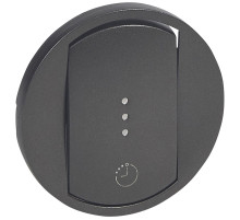 Legrand Celiane2 Графит Лицевая панель выключателя 067051/67423