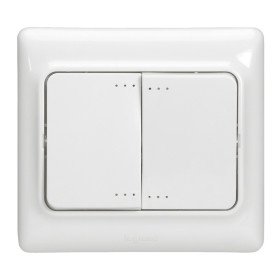 Legrand Kaptika Белый Выключатель 2-клавишный с/п