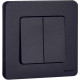 Legrand/Daccord INSPIRIA Антрацит Выключатель двухклавишный 10 AX - 250 В