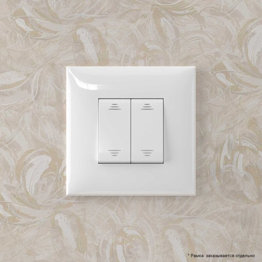 DKC Avanti Инвертор двухклавишный в стену, 