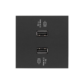 Simon 100 Черный матовый Накладка для 2-х зарядных устройств USB SmartCharge