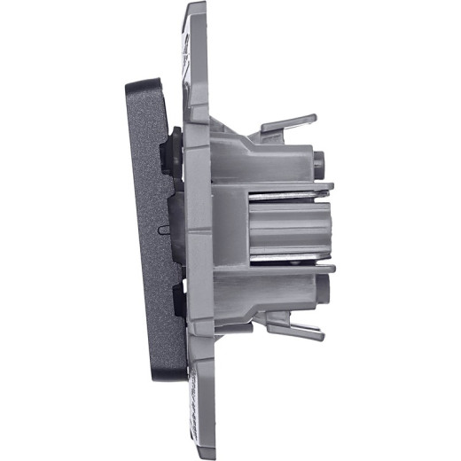 Legrand/Daccord INSPIRIA Антрацит Выключатель двухклавишный 10 AX - 250 В