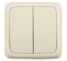 Hegel Альфа наруж Слоновая кость ВА16-155-01 Выключатель 2-клавишный с монт. пластиной