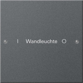 Gira Набор клавиш 1-местный, гравировка