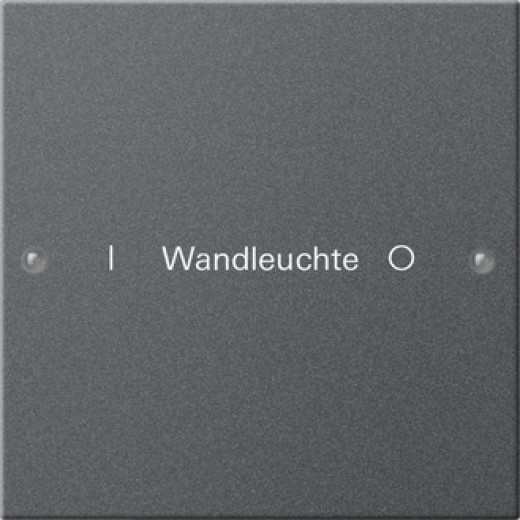 Gira Набор клавиш 1-местный, гравировка