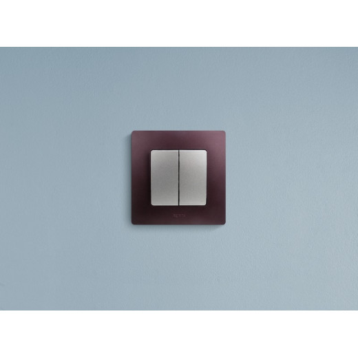 Legrand Etika Алюминий Выключатель 2-клавишный, автоматические клеммы, 10 AX, 250 В