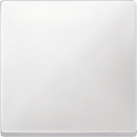 Schneider Electric Merten SD Бел Клавиша 1-ая (термопласт)