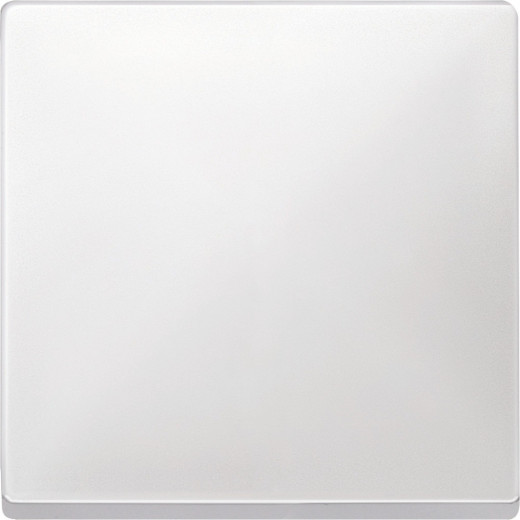 Schneider Electric Merten SD Бел Клавиша 1-ая (термопласт)