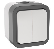 IEK TORS Выключатель двухклавишный 10А IP55 TS205 белый