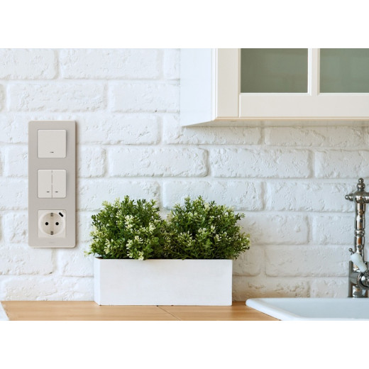 Legrand/Daccord INSPIRIA Слоновая кость Выключатель двухклавишный с подсветкой/индикацией 10 AX - 250 В