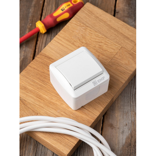 EKF PROxima Владивосток Выключатель кнопочный 10А IP54 сер.