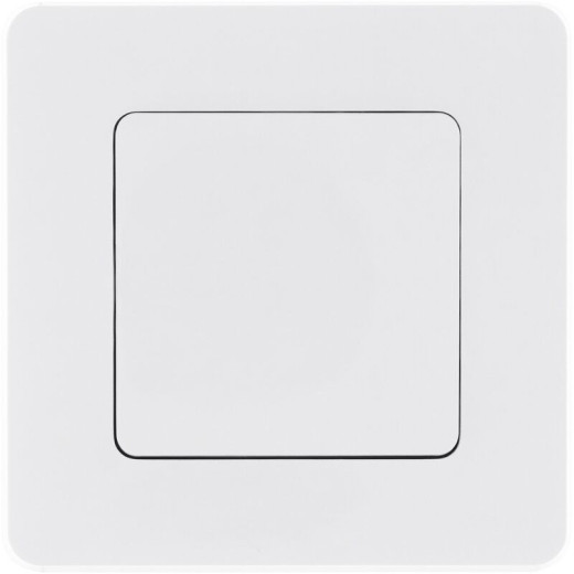 Legrand/Daccord INSPIRIA Белый Выключатель одноклавишный 10 AX - 250 В