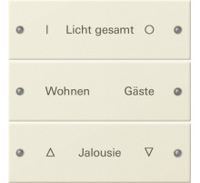 Gira Instabus System 55 Гравировка Набор клавиш 3-местн.