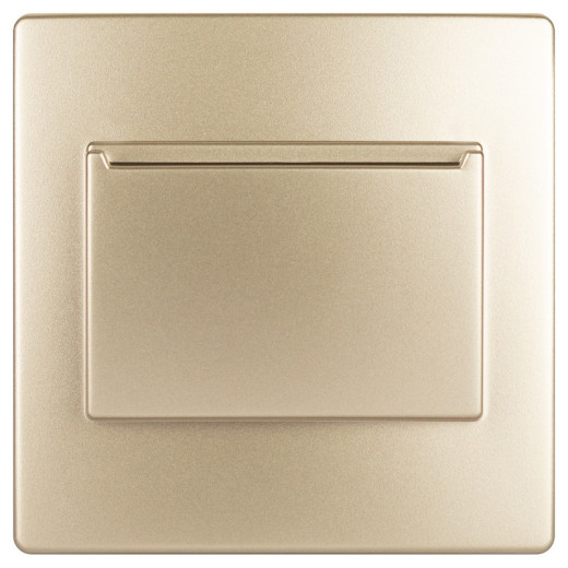 ЭРА 12-6201-04 Накладка на 12-4105-99, 12, Шампань