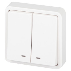 Выключатель ЭРА Эксперт 11-1525-01 двойной с подсветкой IP55 10АХ-250В СУ белый