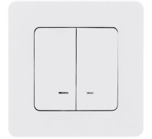 Legrand/Daccord INSPIRIA Белый Выключатель двухклавишный с подсветкой/индикацией 10 AX - 250 В