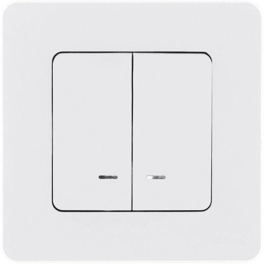 Legrand/Daccord INSPIRIA Белый Выключатель двухклавишный с подсветкой/индикацией 10 AX - 250 В