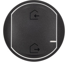 Legrand NETATMO Celiane Грифель Глав.выключатель 