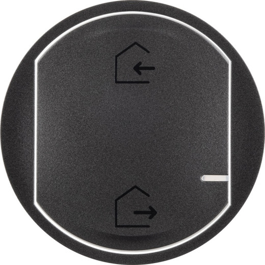 Legrand NETATMO Celiane Грифель Глав.выключатель 