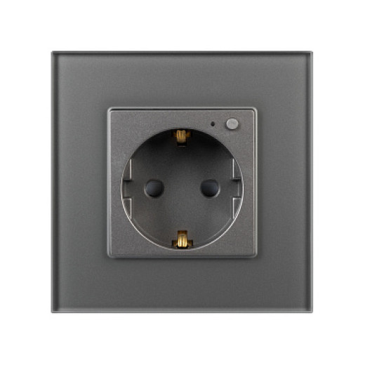 Arlight Розетка электрическая с Zigbee управлением SCT-OMALI-EUZB1-PL-GR (240V, 16A, Zigbee) (-)