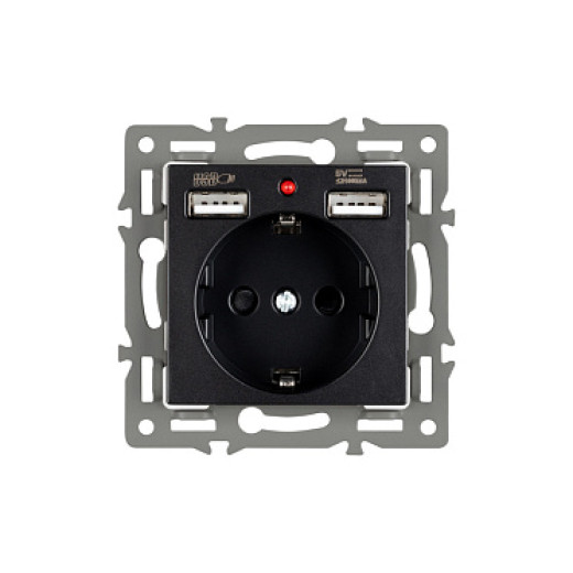 Arlight Механизм розетки с USB зарядкой SCT-MUAA-PL-BK (250V, 16A) (-)