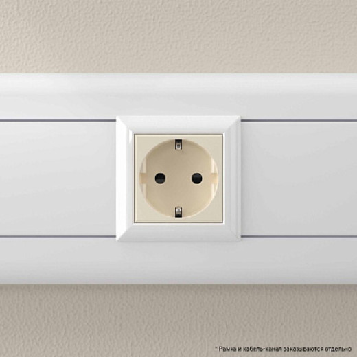 DKC Avanti Розетка модульная, 2P+E, с з/ш, 