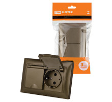 TDM Розетка двойная 2П+З 16А 250В IP44 с защ. шт. с крышкой бронза 