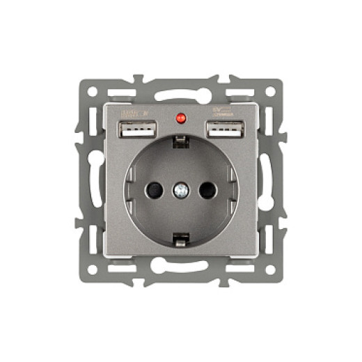 Arlight Механизм розетки с USB зарядкой SCT-MUAA-PL-GR (250V, 16A) (-)