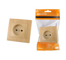 TDM Розетка 2П 10А 250В 